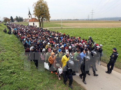 Число мигрантов, прибывающих в Европу, продолжает расти - ảnh 1